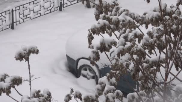 Téli Videofelvétel Reggeli Hóesés Város Ágak Fák Fekszik Felhős Időjárás — Stock videók