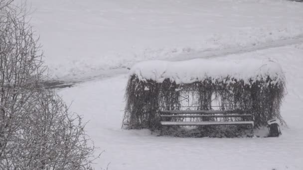 Imágenes Video Invierno Nevadas Matutinas Ciudad Las Ramas Los Árboles — Vídeos de Stock