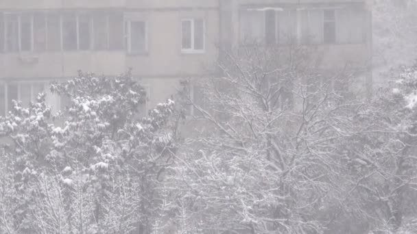 Vídeo Inverno Nevasca Manhã Tempo Nublado Cidade Com Efeito Zoom — Vídeo de Stock