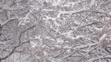 Kış video, sabah kar yağışı şehir, yakınlaştırma ve kamera hareketli etkisi ile bulutlu havalarda