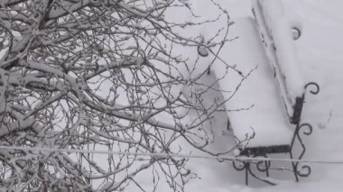 Kış video, sabah kar yağışı şehir, yakınlaştırma ve kamera hareketli etkisi ile bulutlu havalarda