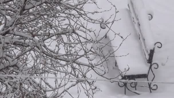 Vidéo Hiver Chute Neige Matinale Par Temps Nuageux Dans Ville — Video