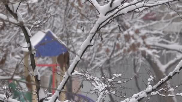 Winter Video Ochtend Sneeuwval Bewolkt Weer Stad Met Het Effect — Stockvideo