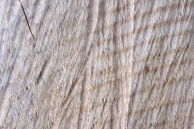 Ahşap dokusal arka plan