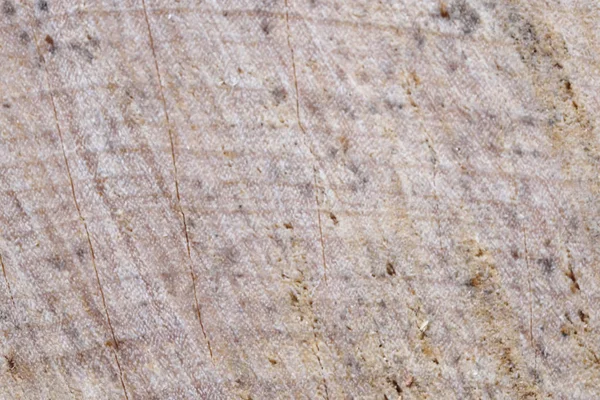 Дерев'яні текстурні фону — стокове фото