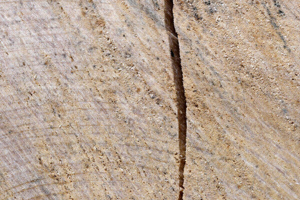 Wooden textural background