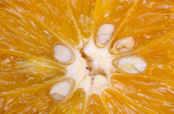 Szeletelt narancsszínű citrus háttér — Stock Fotó