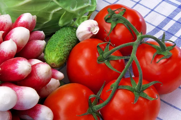 Natureza morta com tomates e outros legumes — Fotografia de Stock