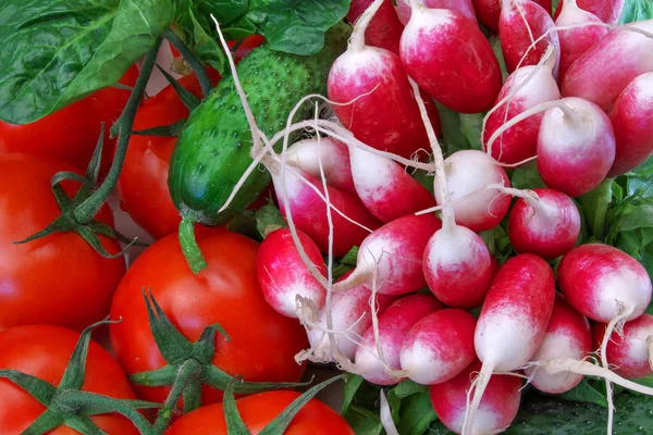Natura morta con pomodori e altre verdure — Foto Stock