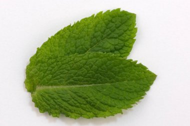 Kokulu nane yaprakları 