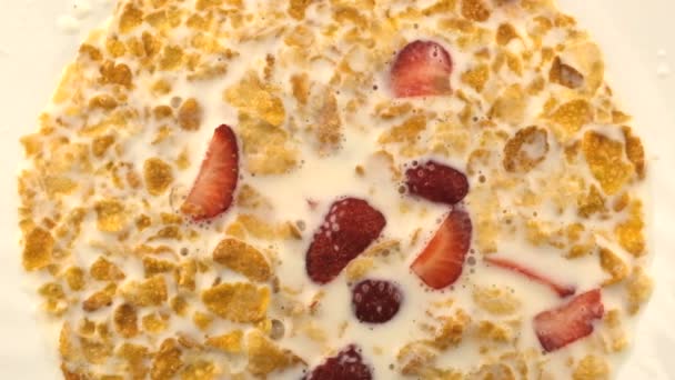 玉米甜干片在牛奶与新鲜的草莓特写宏观视频剪辑 — 图库视频影像