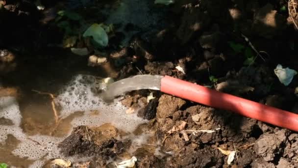 Annaffiamento Giardino Con Acqua Dalla Fornitura Acqua Soleggiata Giornata Estiva — Video Stock