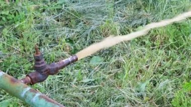 Su kaynağı ile bahçede sulama güneşli yaz günü video klibi yakın çekim makro video yakınlaştırma etkileri, kamera ve yavaş hareket hareket