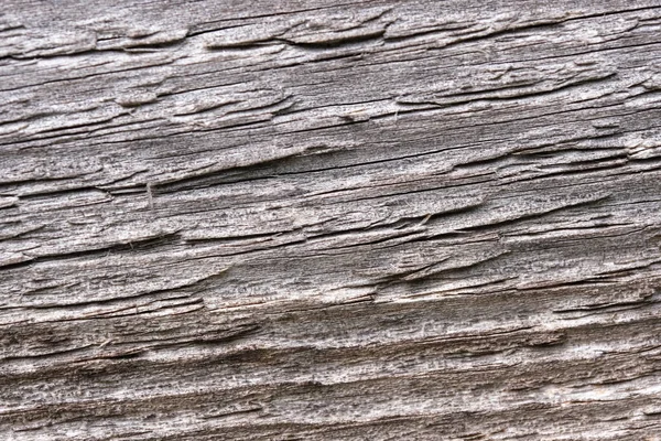 오래 된 나무판의 배경 — 스톡 사진