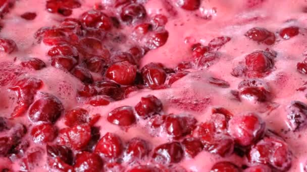 Video Clip Process Making Cherry Jam Berries Boil Its Own — Stock Video