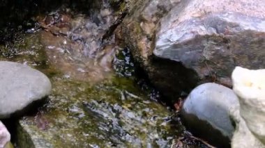 Bir yaz botanik bahçesinde küçük bir dekoratif yapay şelale parçası, manzara tasarımı video klip 1080p yakın çekim sırasında zoom ve kamera hareketi kullanarak