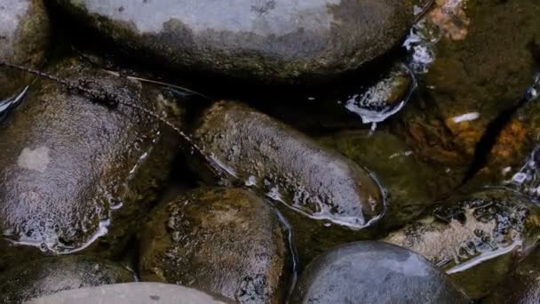 Fragment Van Een Kleine Decoratieve Kunstmatige Waterval Een Zomer Botanische — Stockvideo