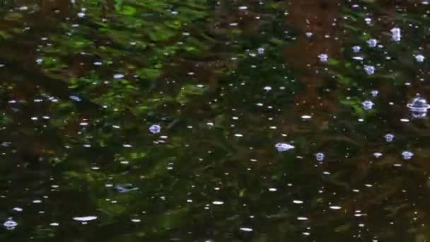 Töredéke Egy Kis Dekoratív Mesterséges Vízesés Egy Nyári Botanikus Kertben — Stock videók