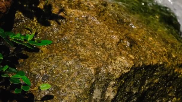 Fragment Van Een Kleine Decoratieve Kunstmatige Waterval Een Zomer Botanische — Stockvideo