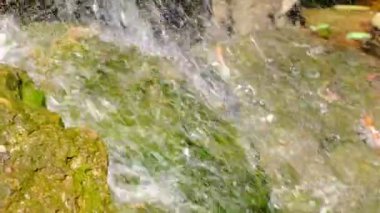 Bir yaz botanik bahçesinde küçük bir dekoratif yapay şelale parçası, manzara tasarımı video klip 1080p yakın çekim sırasında zoom ve kamera hareketi kullanarak