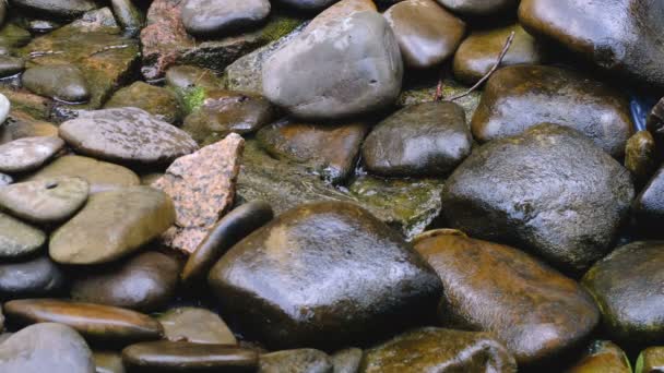 夏の植物園の小さな装飾的な人工滝の断片 風景デザインビデオクリップ4Kクローズアップ — ストック動画