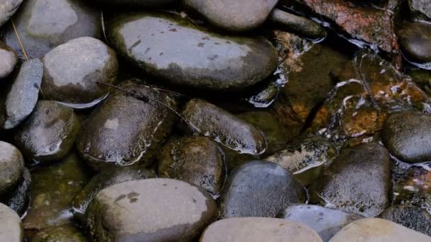 夏季植物园中一个小装饰人工瀑布的碎片 景观设计视频剪辑4K特写 — 图库视频影像
