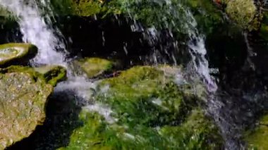 Bir yaz botanik bahçesinde küçük bir dekoratif yapay şelale parçası, peyzaj tasarımı video klip 4k close-up
