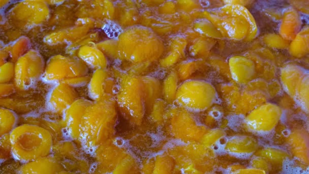 Cooking Apricot Jam Halves Pitted Fruits Its Own Juice Sugar — Stock Video