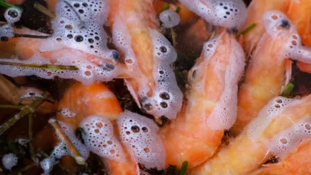 中型海虾用芳香草本在一壶水中煮沸 — 图库视频影像