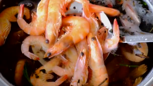 Udang Laut Berukuran Sedang Direbus Dalam Panci Air Dengan Rempah — Stok Video