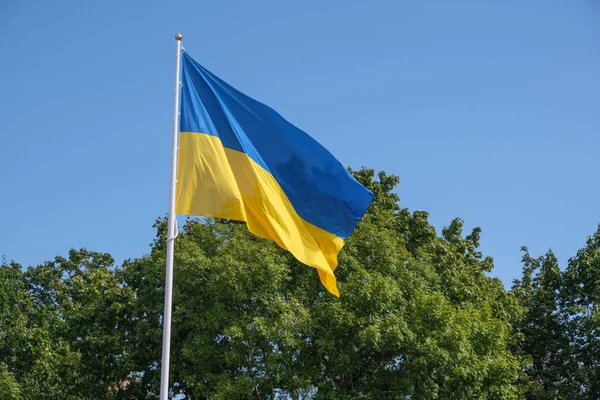 Statligt flagga Ukraina — Stockfoto
