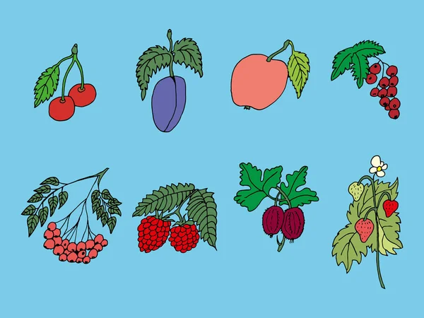 Conjunto de dibujos a mano alzada vectoriales de frutos de plantas — Archivo Imágenes Vectoriales