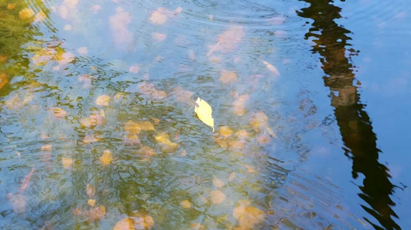 가을의 다채 로운 물 경치 — 스톡 사진