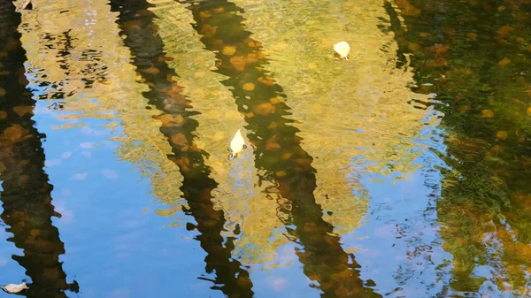 가을의 다채 로운 물 경치 — 스톡 사진