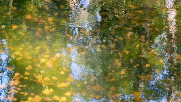 Fondo de agua colorido otoño —  Fotos de Stock