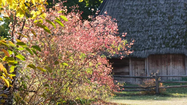 秋のカラフルなスケッチの背景 — ストック写真