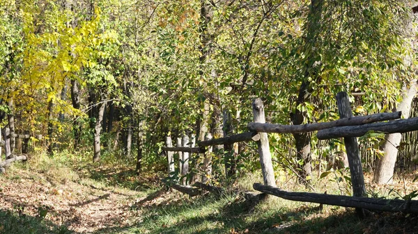 Podzim barevné kreslení pozadí — Stock fotografie