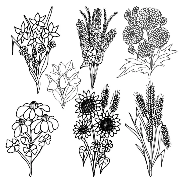 Σύνολο στοιχείων διανύσματος γραφικών λουλουδιών — Διανυσματικό Αρχείο
