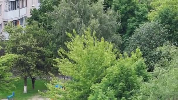 Video Clip Timelapse Schieten Van Een Binnenplaats Met Groene Bomen — Stockvideo