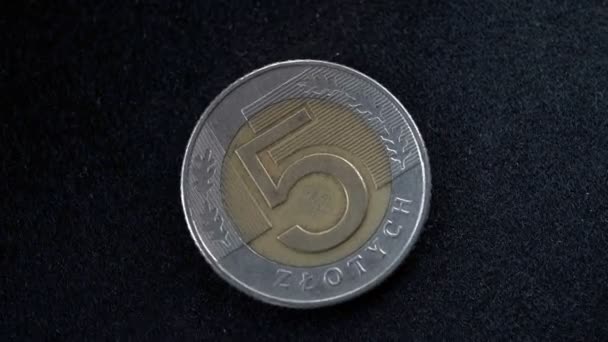 黒の背景にカメラの前でゆっくりと回転する5つのズロチのポーランドのコインの反対側 — ストック動画