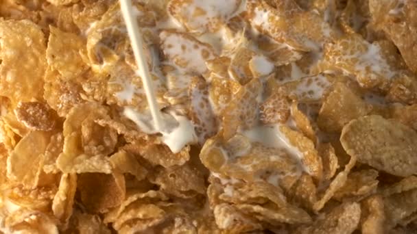 Cornflakes Met Room Poedersuiker Een Plaat Close Draait Voor Camera — Stockvideo