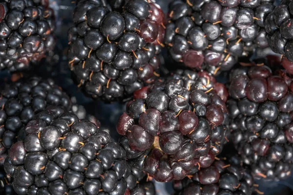 Sweet Ripe Blackberries Close Macro Photography — Stock Photo, Image