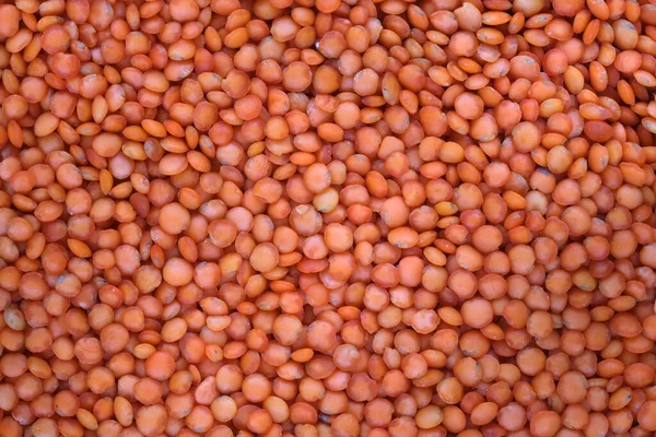 Food Background Red Lentils Close Macro Photography — Stock Photo, Image