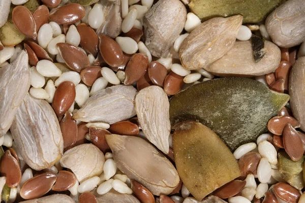 Mix Various Dried Seeds Dressing Vitamin Salad Close Macro Photography — Stock Photo, Image