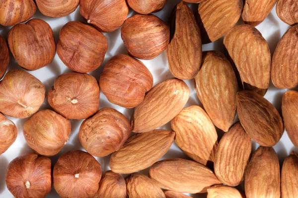 Torkade Mandlar Och Hasselnötter Närbild Makro Fotografi Livsmedel Vegetarisk Bakgrund — Stockfoto