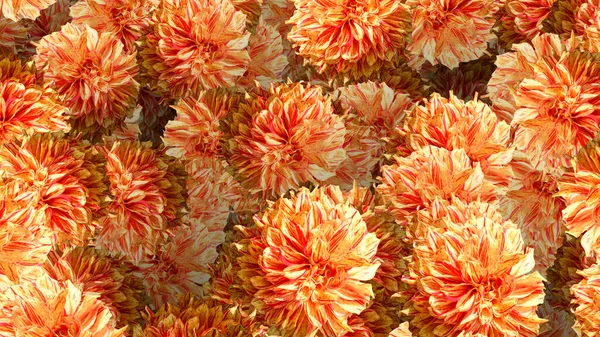 Natürliche Blume Hintergrund Fotomontage Collage Computer Machen Zusammengesetzte Fotos Von — Stockfoto