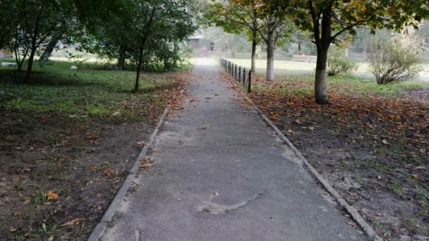 秋天城市自然录像素描 人行道上落叶黄黄 10月份多云的草坪多风 — 图库视频影像
