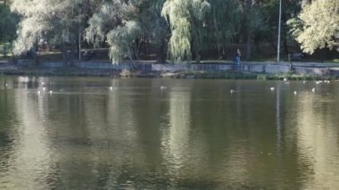 Ukrayna 'nın başkenti Kiev' in Goloseevsky ilçesinde 15 Ekim 2020 'de güneşli bir günde çekilen sonbahar gölü manzarası