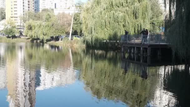 Vista Lago Outono Zona Verde Distrito Goloseevsky Cidade Kiev Ucrânia — Vídeo de Stock