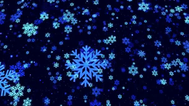 Les Flocons Neige Nouvel Dans Les Tons Bleus Volent Vers — Video